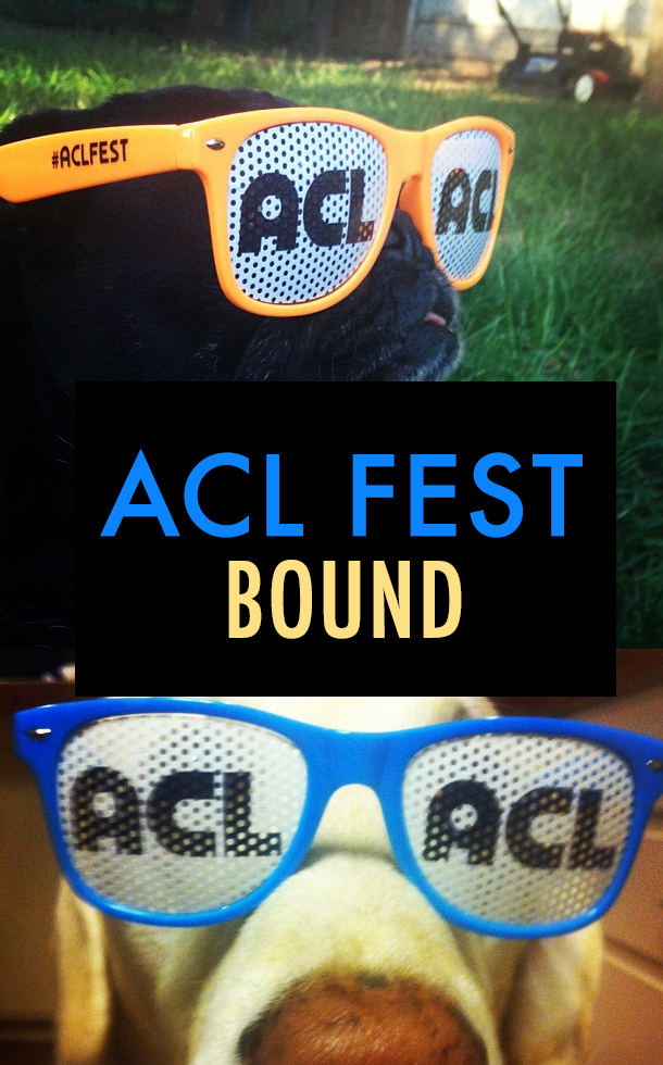 ACL FESTIVAL 2013