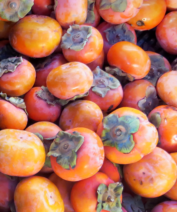 Persimmons at Atwater Farmers' Market / Bourbon and Goose