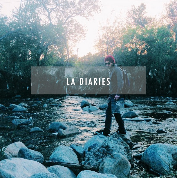 LA Diaries / bourbon and goose