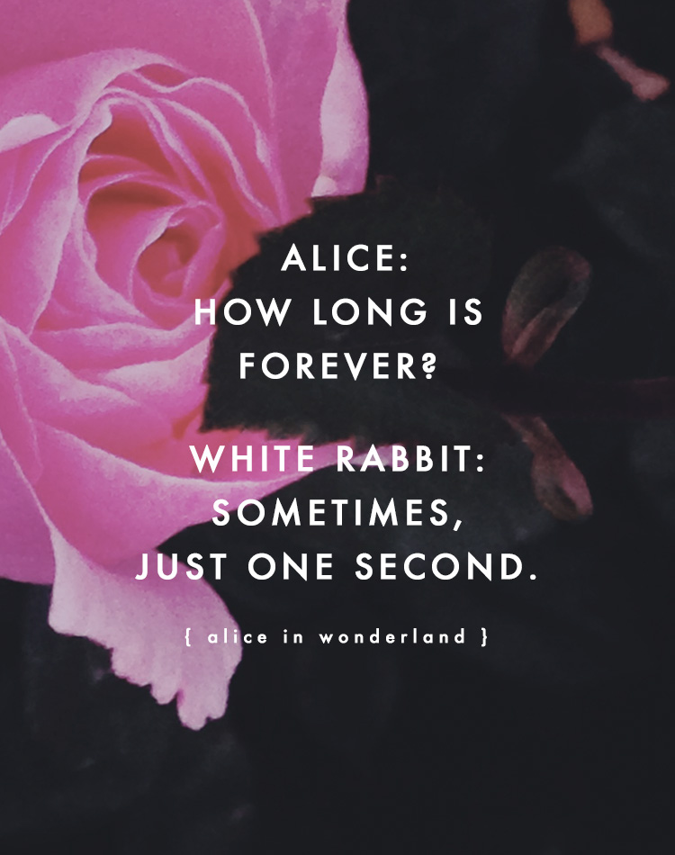 Quote / Alice In Wonderland via Bourbon and Goose