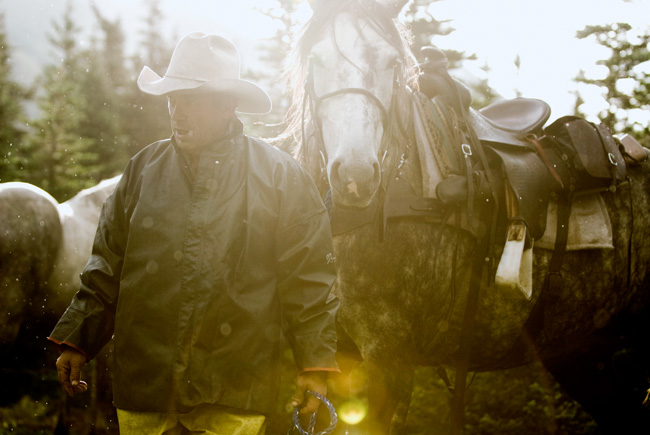 Outfitter leads horse on hunting trip, British Columbia, 2010