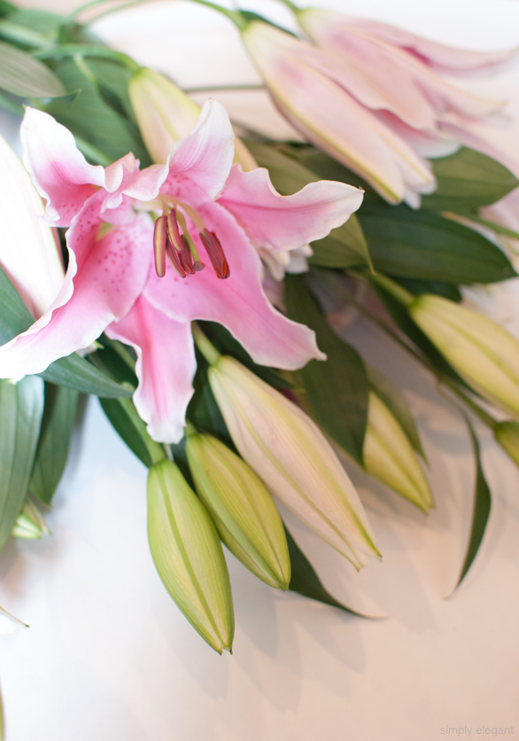 Lilies Flowers, Pink Lily, Fresh Flowers, Blogger Photography, 