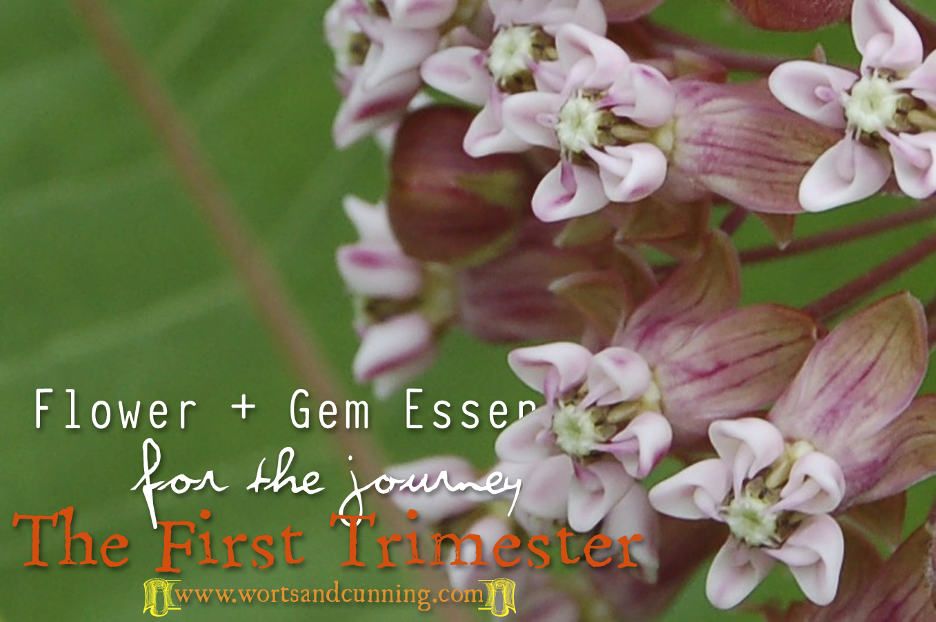 First Trimester Flower Gem Essences