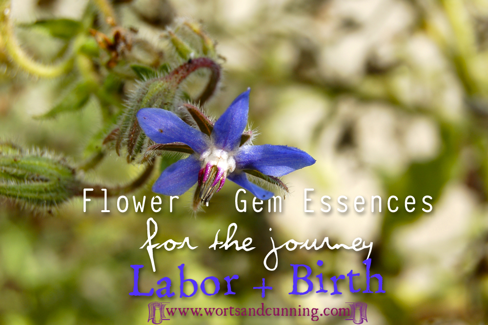 Labor  Flower Gem Essence Pregnancy