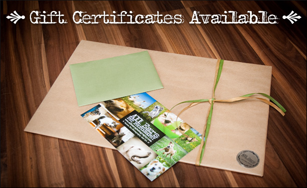 blog_giftcertificates
