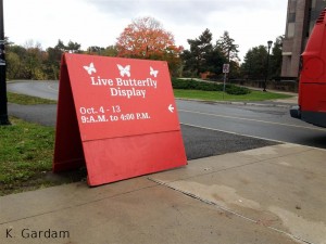 Live butterfly show sign