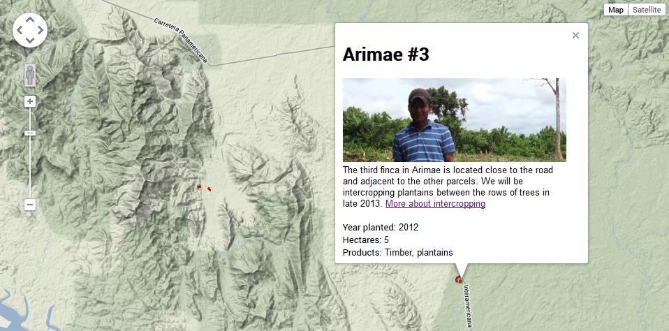 Image of Planting Empowerment's forest map