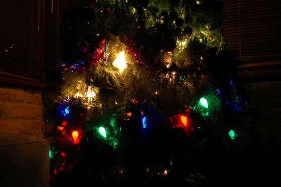 christmas tree trimmed with lights