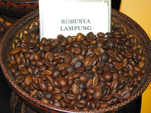 Roasted Robusta Coffee Beans.jpg