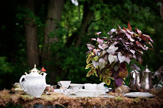 alice in wonderland photo shoot - moss lined tablescape