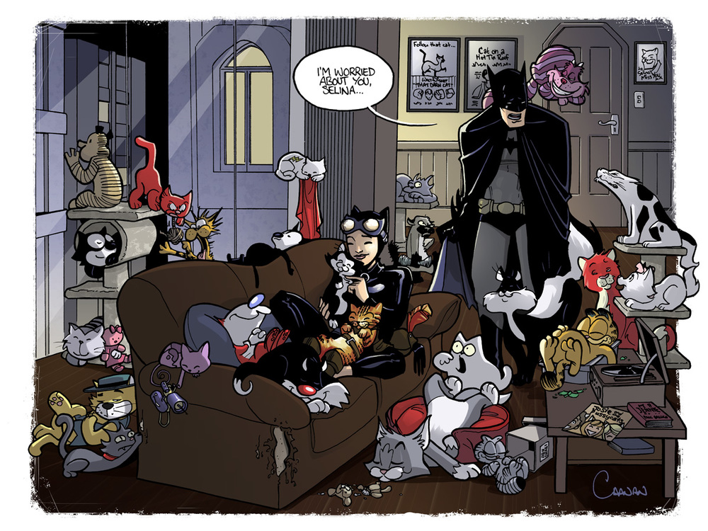 catwoman_the_cat_lady_by_caanantheartboy-d61xx7r.jpg