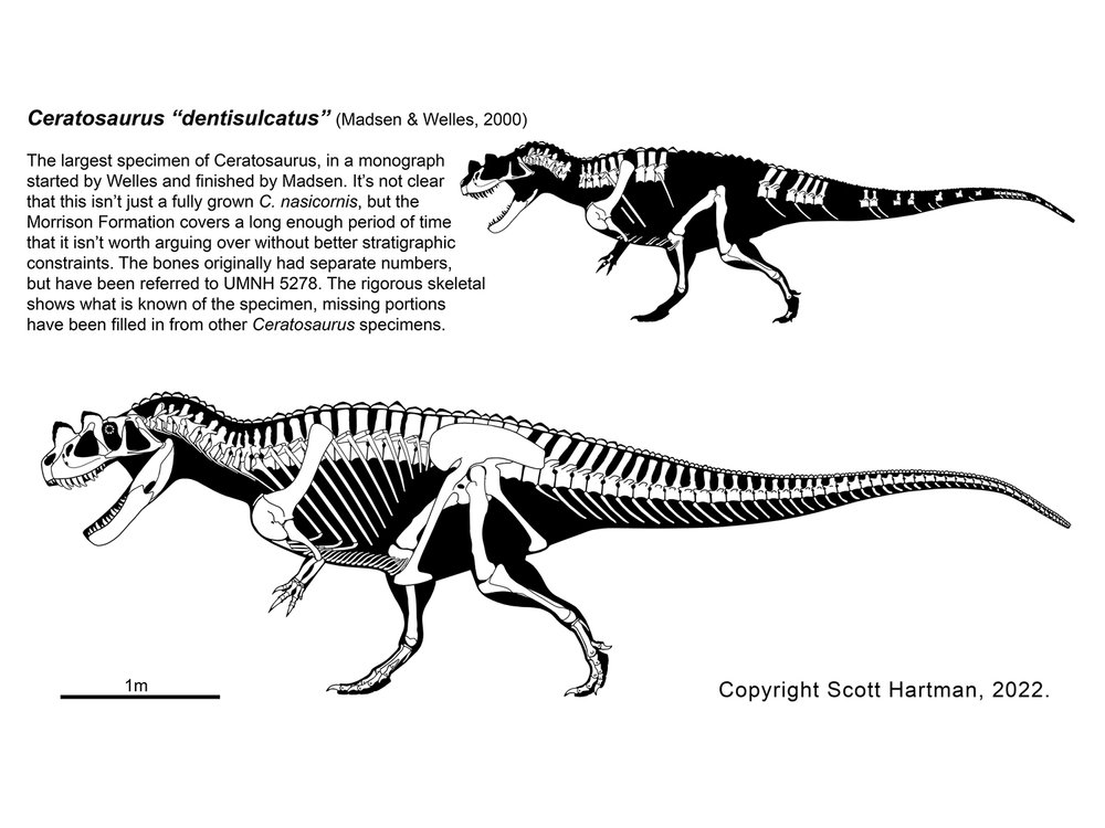 Ceratosaurus vs Rajasaurus