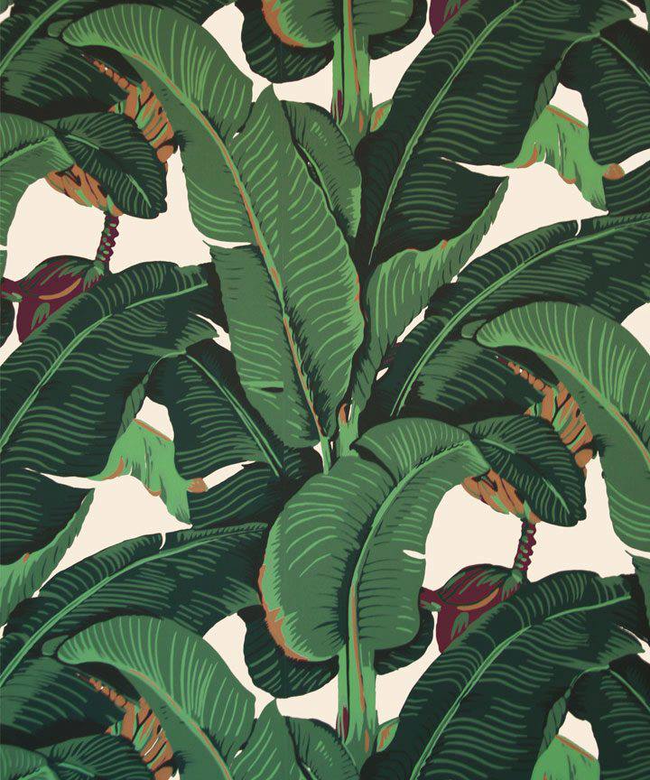 IT'S A JUNGLE OUT THERE: KATE SPADE'S MARTINIQUE PILLOW, A FACEBOOK  EXCLUSIVE — 