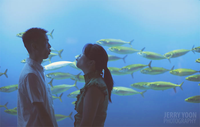 Monterey Bay Aquarium, Engagement shoot, engagement session, photography