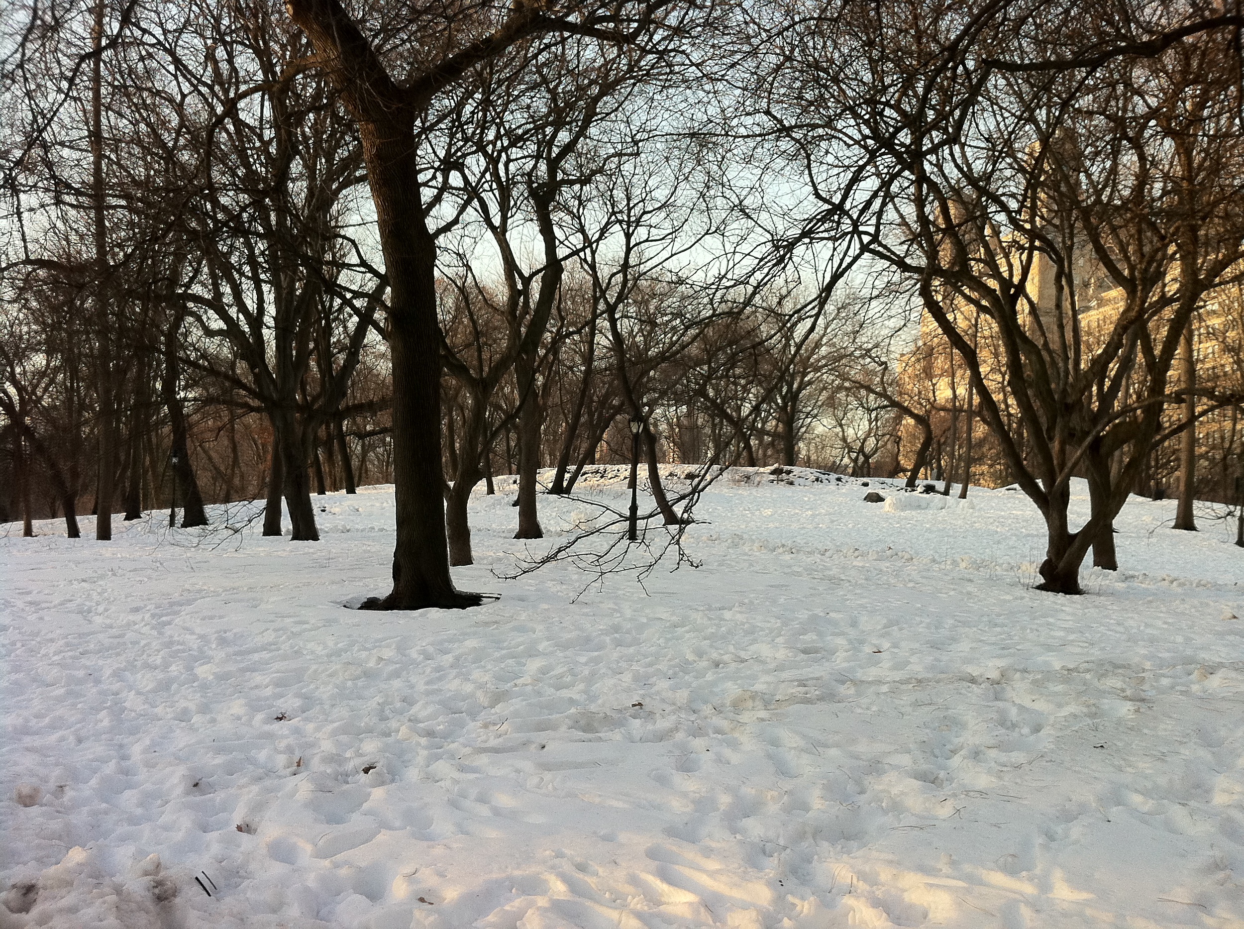 New Year's Day in New York - Central Park