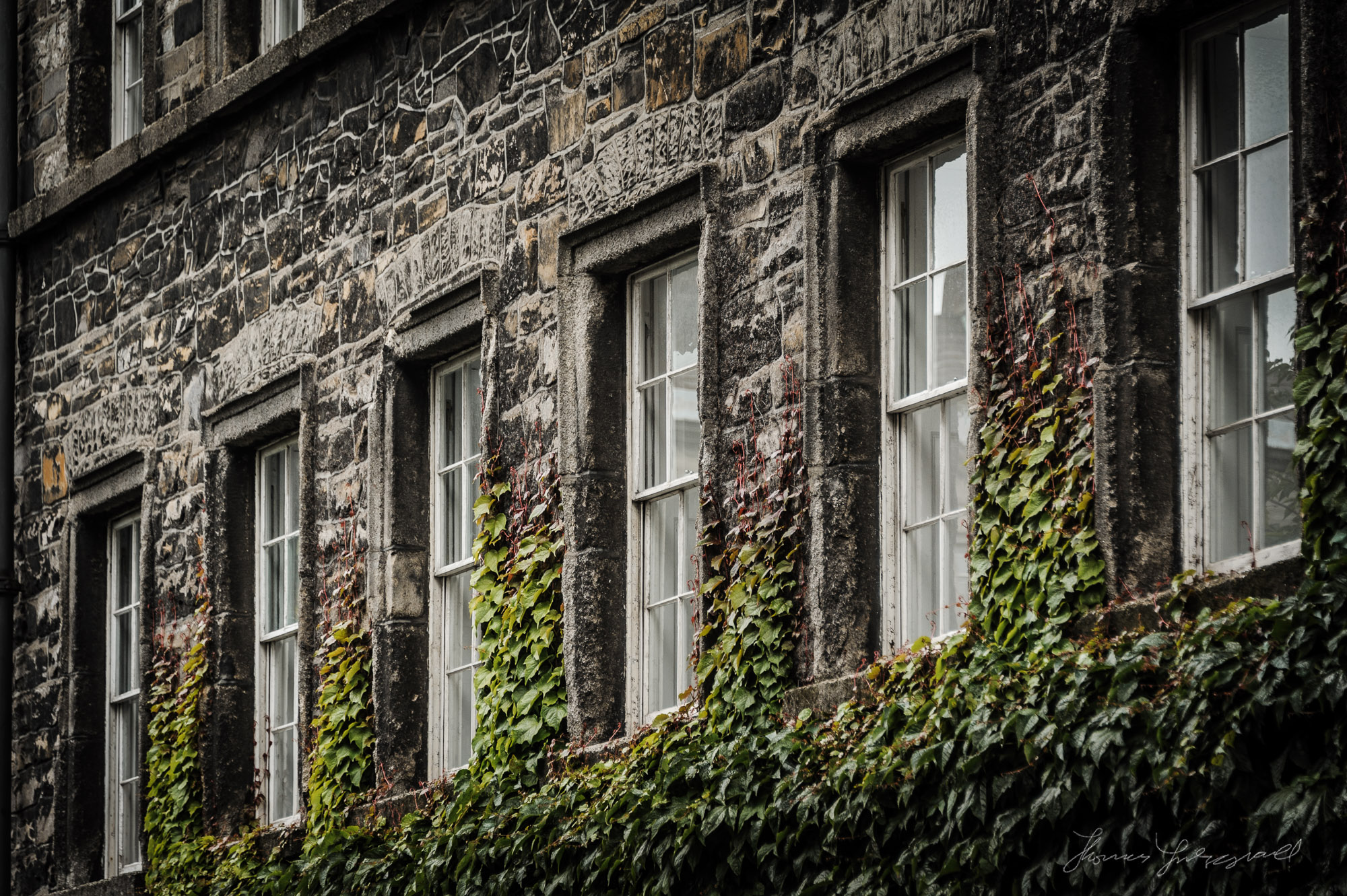 Architectural Detail in Trinity College — Thomas Fitzgerald Photography