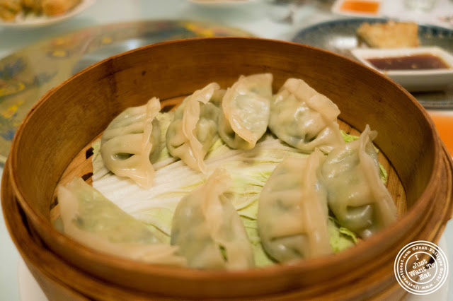 image of vegetable dumplings at Szechuan Gourmet in Midtown West, NYC, New York