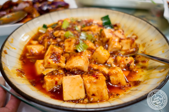image of Ma Po Tofu at Szechuan Gourmet in Midtown West, NYC, New York