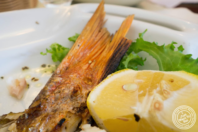 image of Red snapper at Telly's Taverna in Astoria, New York