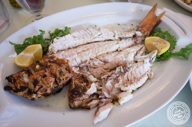 image of Red snapper at Telly's Taverna in Astoria, New York