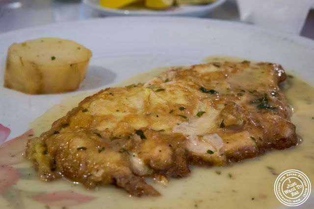 image of chicken Francese at Il Colosseo in Bensonhurst, Brooklyn, New York