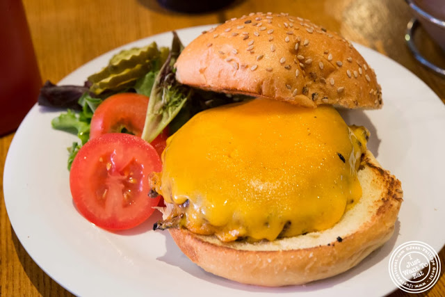 image of cheeseburger at 67 Burger in Brooklyn, New York