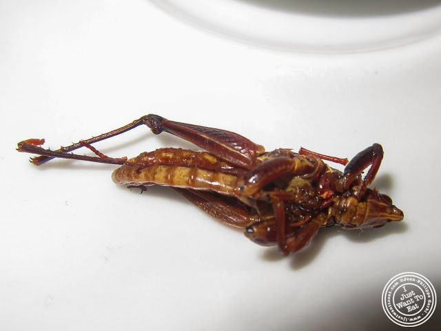 image of Grasshoppers or chapulines at Toloache in NYC, New York