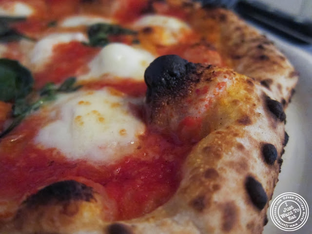 image of Margherita pizza at Motorino pizza in the East Village, NYC, New York