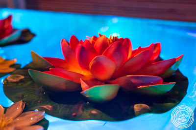 image of Lotus flower at Glow Thai restaurant and lounge in Bay Ridge Brooklyn, New York