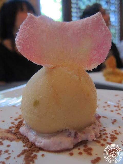 image of asian pear sorbet at Bann Korean restaurant in NYC, New York