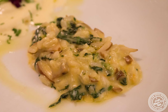image of risotto at Incognito Bistro in NYC, New York