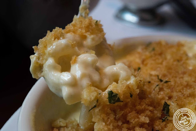 image of mac and cheese at Dino and Harry's steakhouse in Hoboken, NJ
