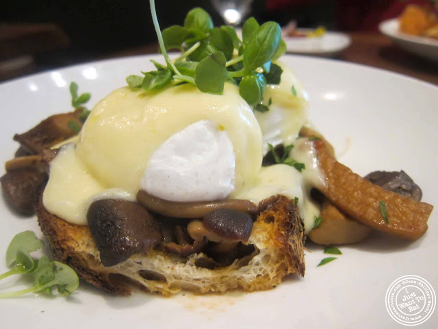 Image of braised mushrooms and poached eggs at Tom Colicchio's Craftbar in NYC, New York