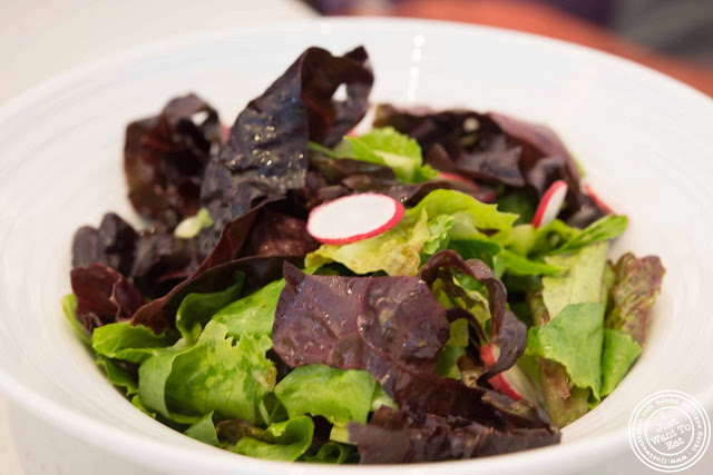 Image of Mixed green salad at Sugar and Plumm in NYC, New York