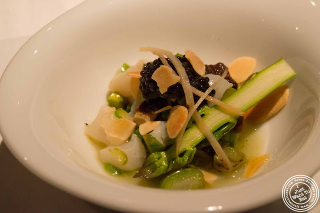 image of marinated scallops with American caviar at Gramercy Tavern in NYC, New York