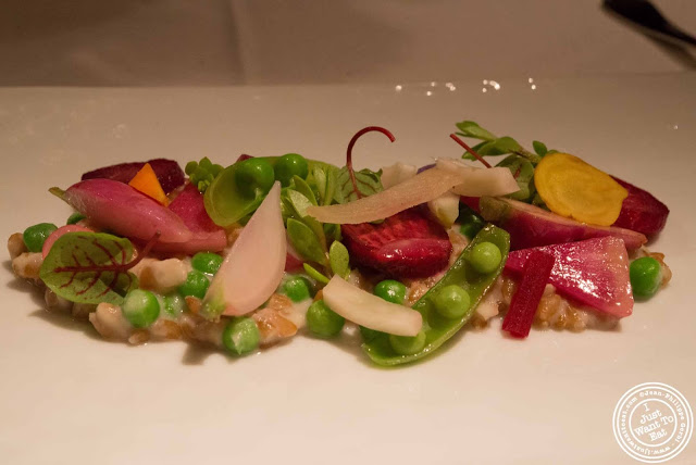image of farro salad at Gramercy Tavern in NYC, New York