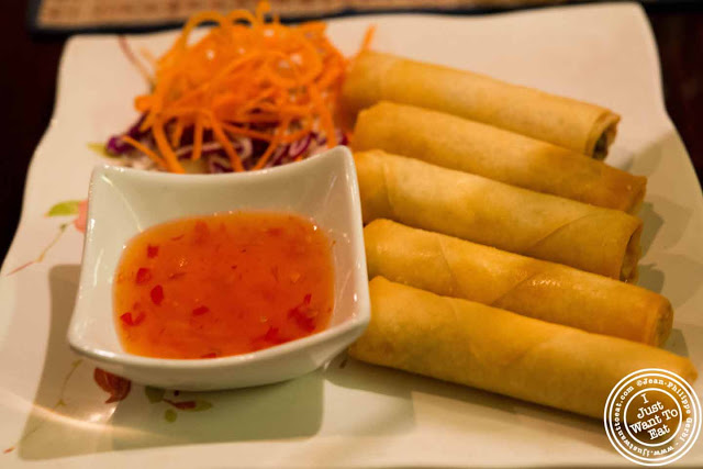 Image of Vegetable spring rolls at Zabb City in NYC, New York