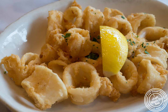 Image of Fried calamari or calamari fritti at Trattoria Saporito in Hoboken, NJ