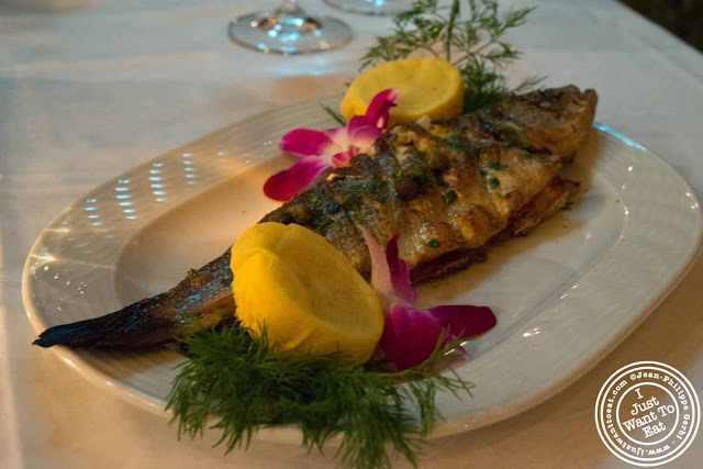 Image of branzino or loup de mer or lavlaki at Thalassa Greek restaurant in Tribeca NYC, New York