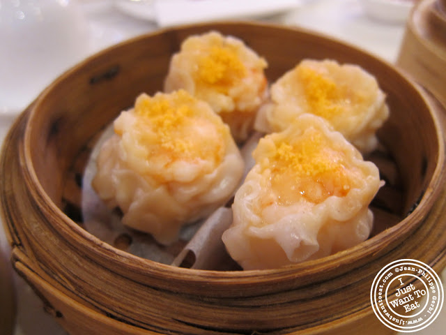 Image of Shrimp shumai at the Golden Unicorn in Chinatown NYC, New York