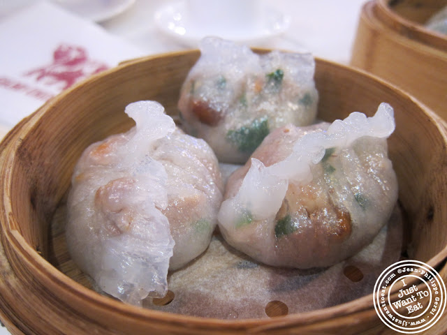 Image of Spinach and shrimp dumplings at the Golden Unicorn in Chinatown NYC, New York