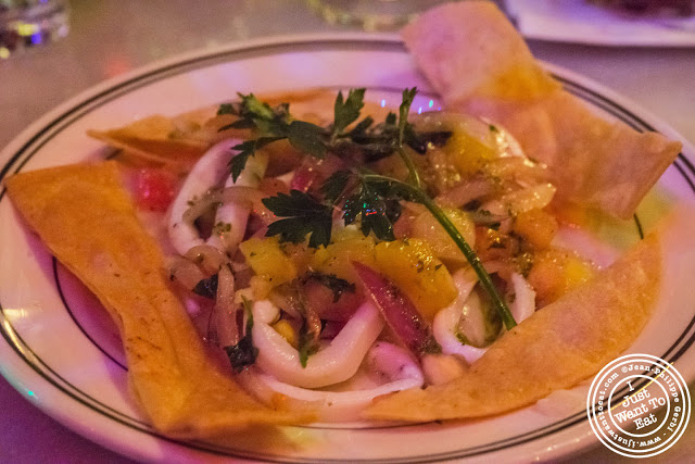 Image of Calamari ceviche at Oficina Latina in Nolita, NYC, New York