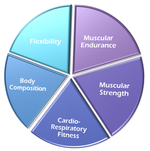 Image result for 5 components of physical fitness