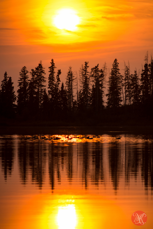 Elk Island Sunset - Landscape Photography — MiKSMedia Photography