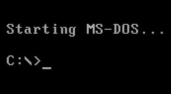 MSDOS