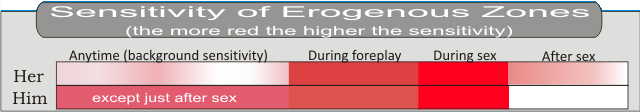 Useful Guide To Key Erogenous Zones — Abalook 6377