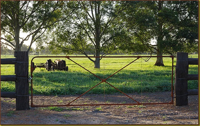 IMGP0704-Gate06c-650x