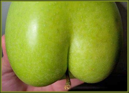 AppleBottomApple