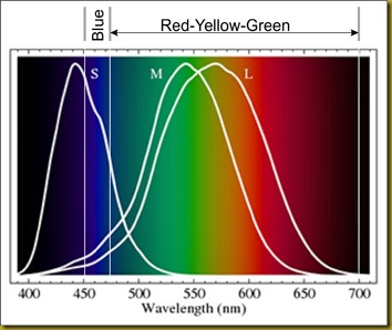 Seeing-RGB