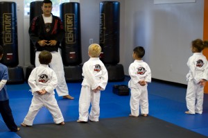 little warriors kids martial arts 